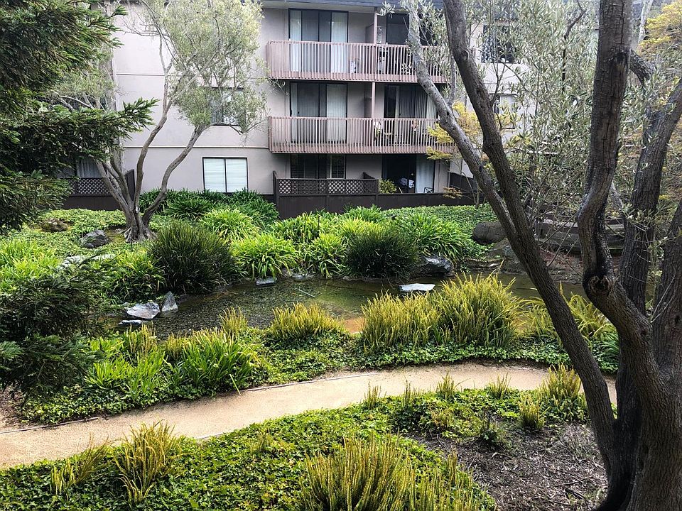 1st image of 3206 Shelter Creek Ln