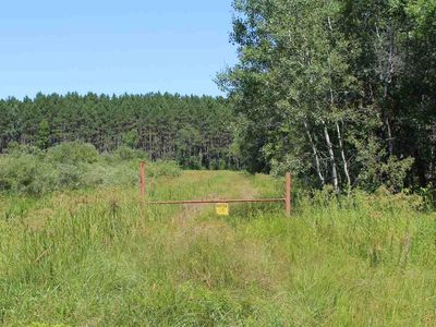 34.29 Acres State Hwy #173, Nekoosa, WI, 54447