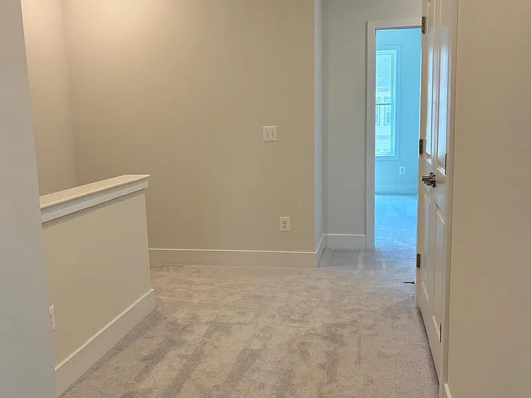 133 Bamboo Shoot Ln — Photo 30