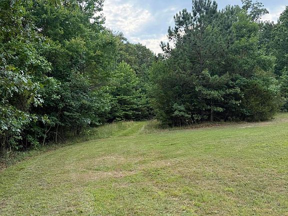 4th image of 245 Brandon Kelsey Dr