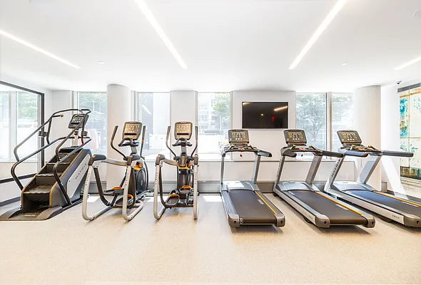 Rented by MNS | media 29