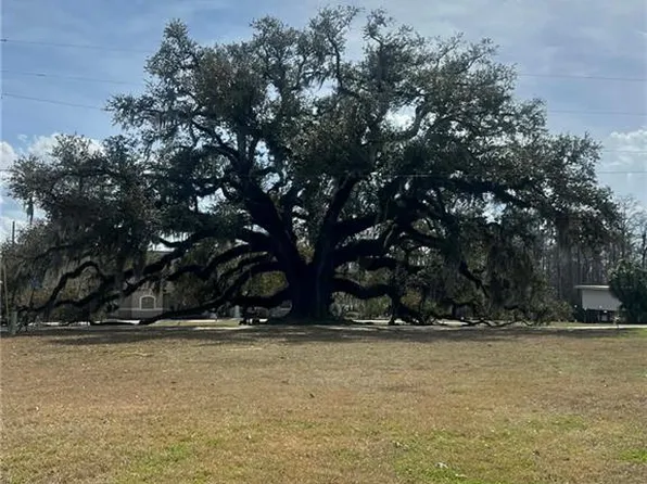 16683 Meisner Rd, Springfield, LA 70462