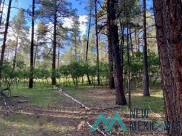 Waterline Ln, Chama, NM 87520