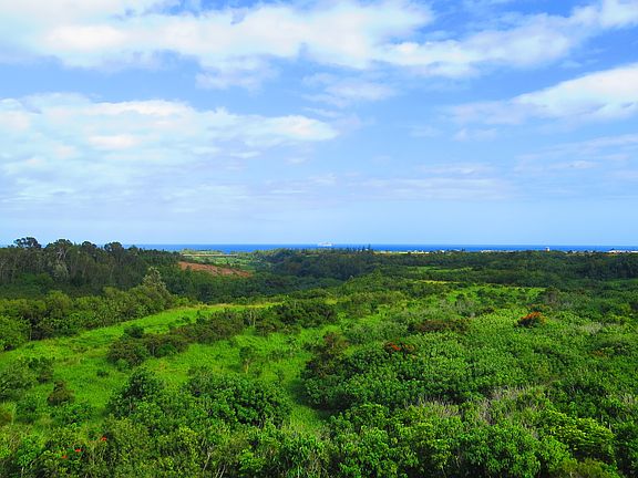 Living Valley View