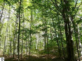 PARCEL 5 Cook Dr, Bellaire, MI 49615