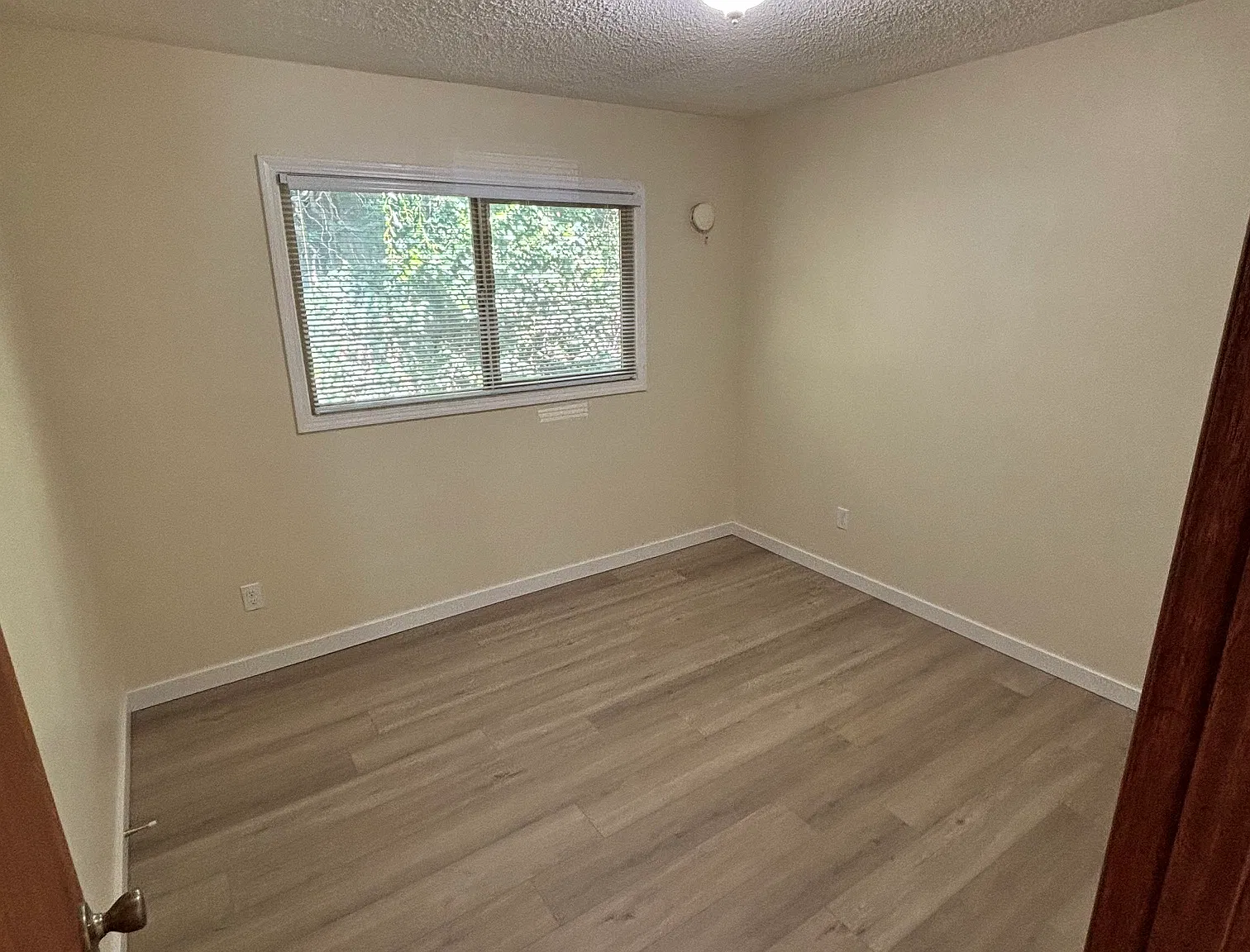 2 bed, 800 sqft, $1,900 — Photo 3