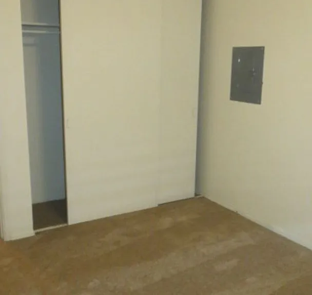 Forest View Apartments — Photo 11