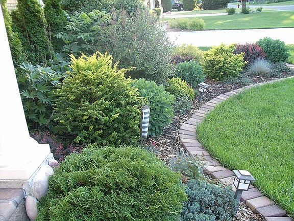 Front Yard