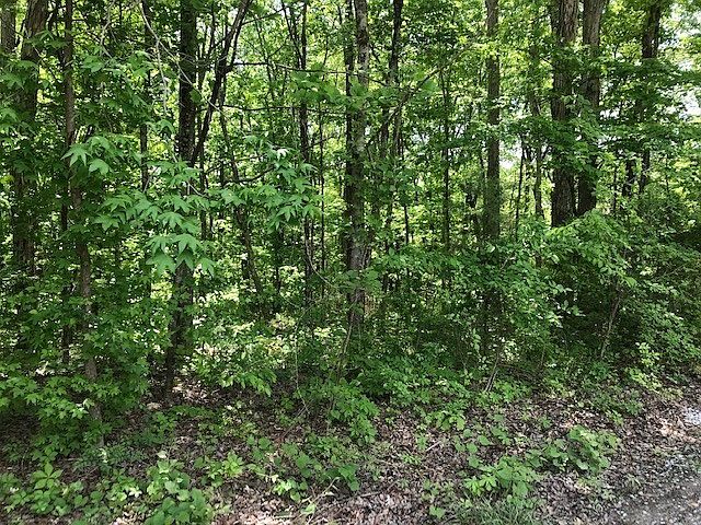 2nd image of 671 County Rd Lot 1