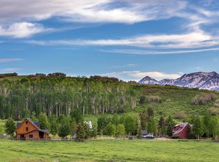 3520 County Road 58p Rd, Placerville, CO 81430