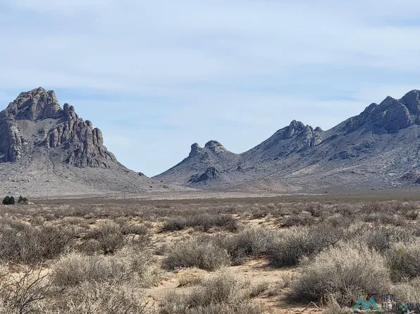 8785 Tapia Rd SE, Deming, NM 88030