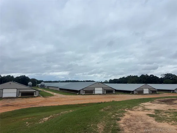 4675 County Road 5, Ariton, AL 36311
