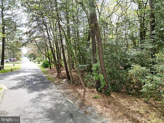 2nd image of 38 S Horseshoe Dr