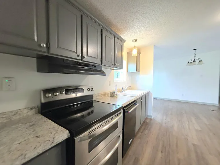 220 County Road 145 — Photo 7
