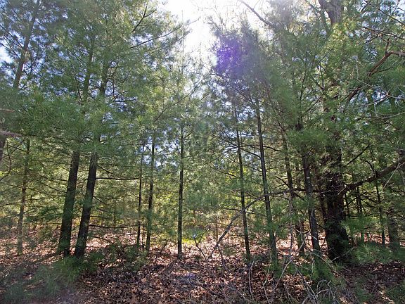 2nd image of 20 Timberline Rd