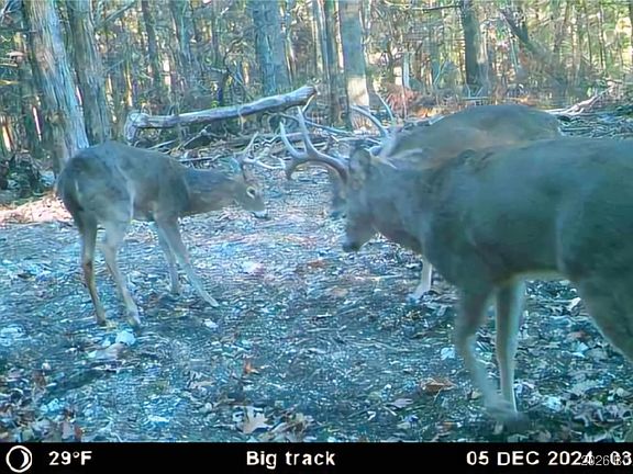 3rd image of 2 State Aa Rd