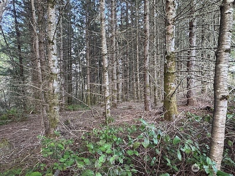 2nd image of 3 Lot Brown Road