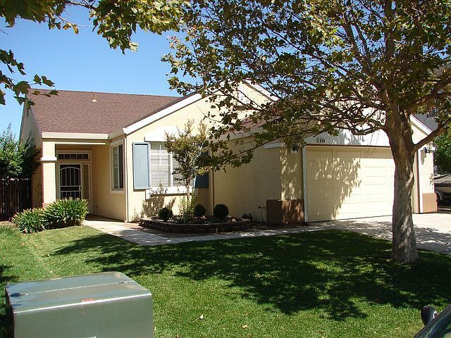 Landscaped yard