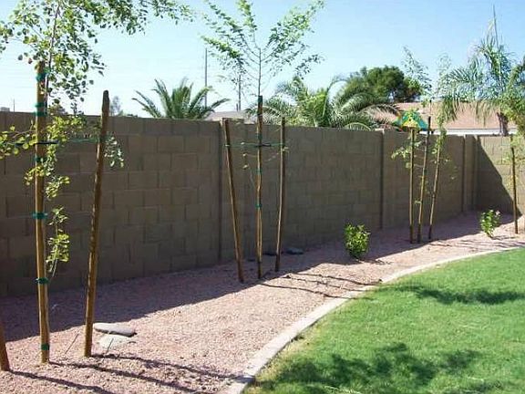 Backyard west side