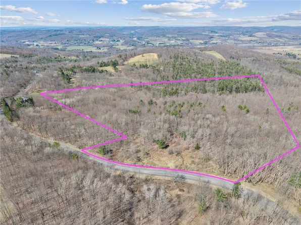 Bald Hill School Rd #26, Brooktondale, NY 14817