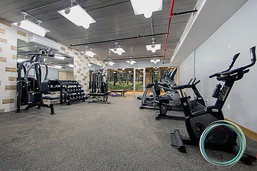 Rented by GTM Property Group 