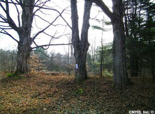LOT 4 Buell Rd LOT 4, Camden, NY 13316
