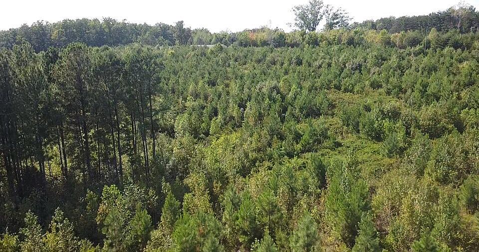 2nd image of 2020 Ashcake Creek Rd