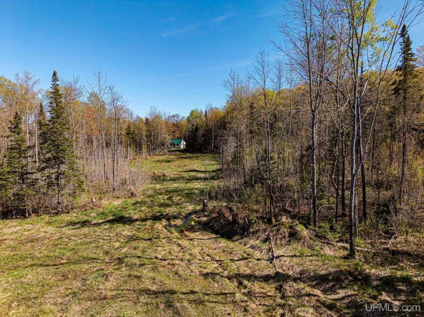 Mill St, Marenisco, MI 49947