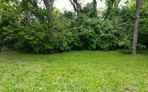 2nd image of 1805 McKinley St