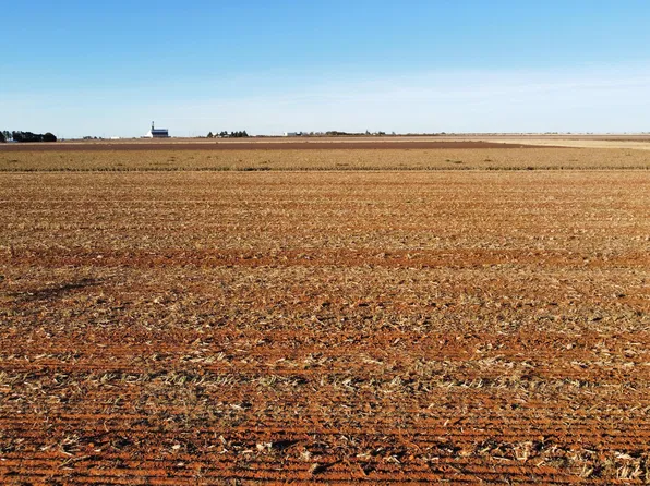 6663 Tiger Rd, Ropesville, TX 79358