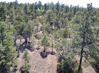 2787 Paradise Pnes, Overgaard, AZ 85933