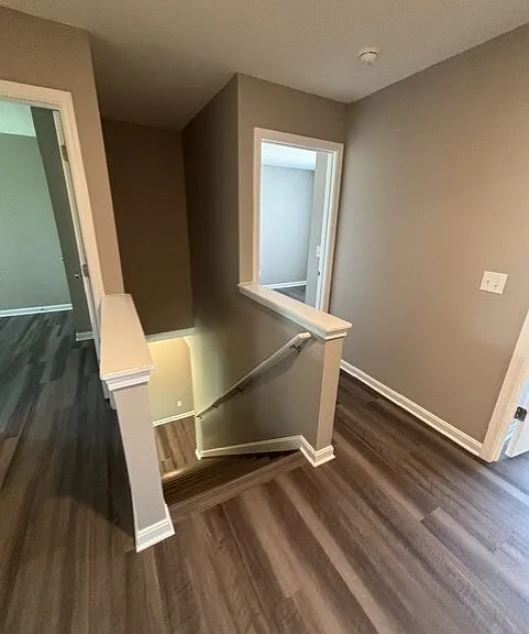 2899 Pine Leaf Ct — Photo 6