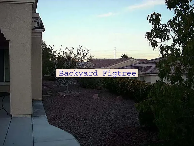 5340 Gi Orno Ct — Photo 28