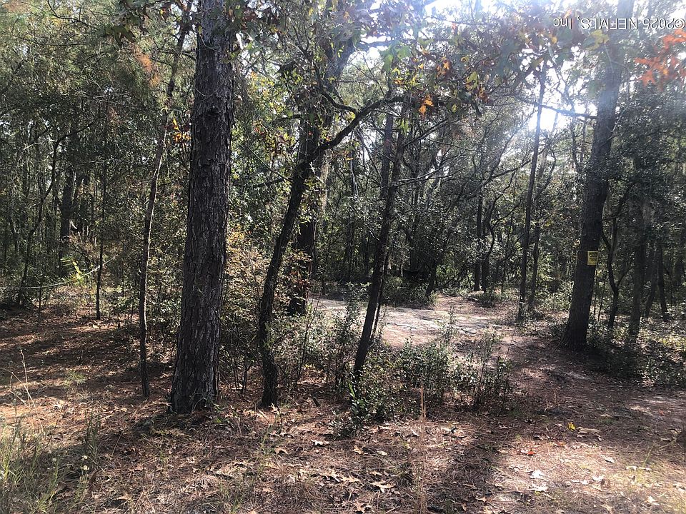 2nd image of 105 NEVADA Drive