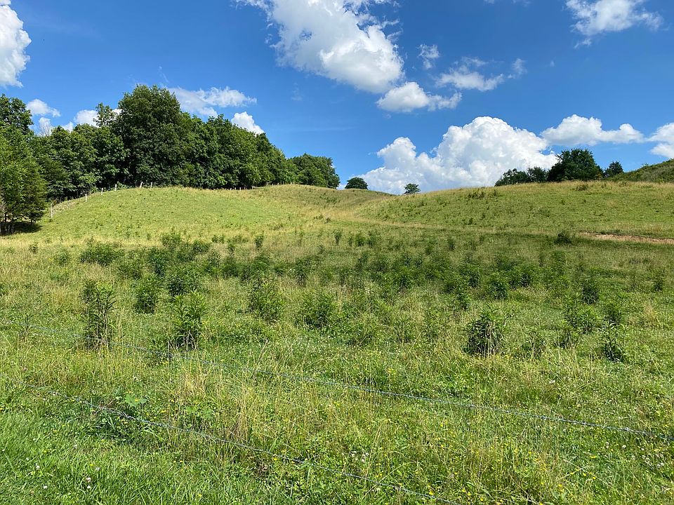 2nd image of Little Chuckey Rd