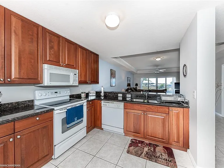 3322 Purple Martin Dr #132 — Photo 18