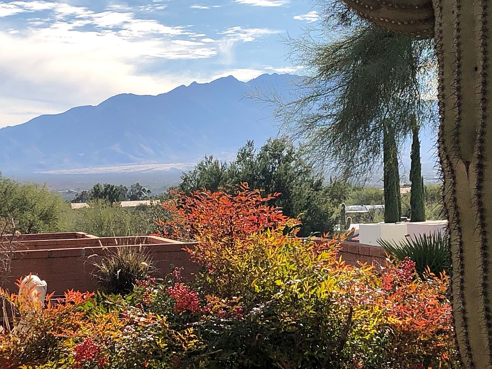 Santa Rita Mountain View