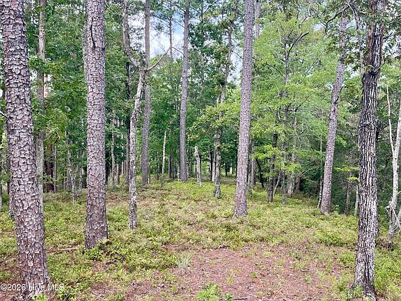4th image of 671 Plantation Parkway LOT 44