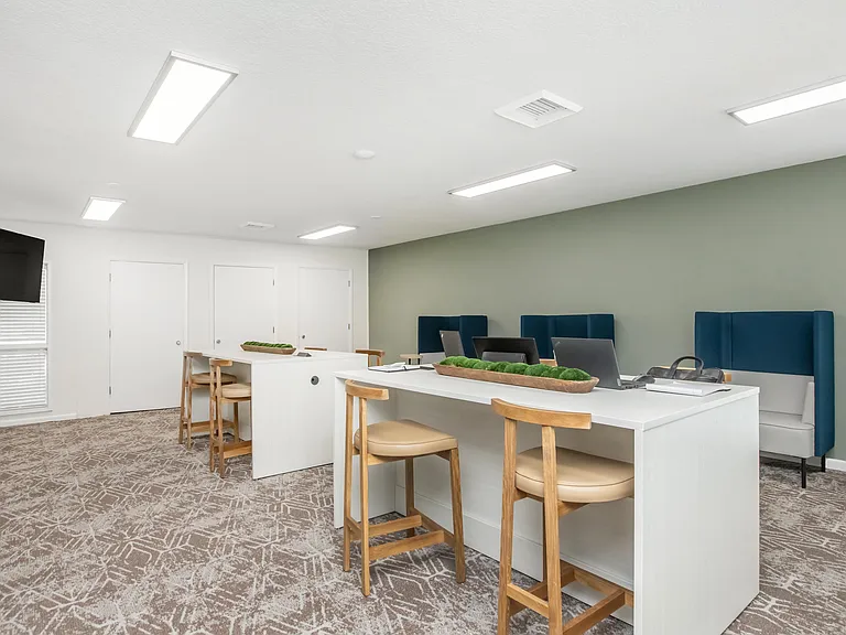Palmera at Gandy — Photo 16