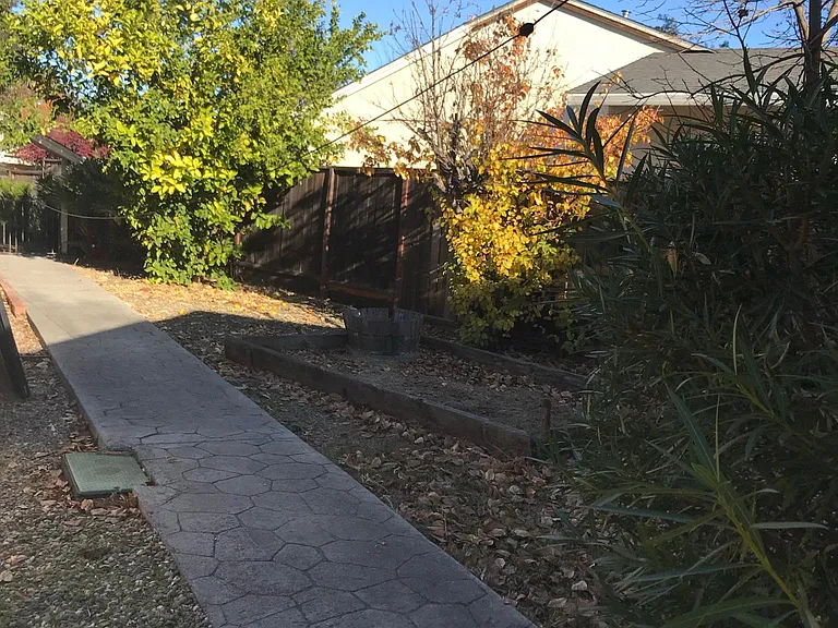 Side Yard