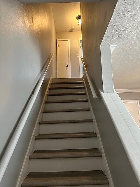 No Carpet