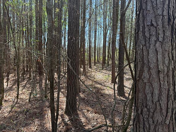 4th image of Blackjack Rd