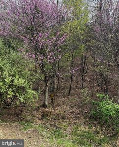 LOT Annandale Dr #J, Gerrardstown, WV, 25420