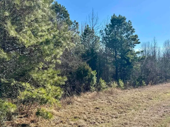 11 & 12 Lakeview Dr, Omaha, TX 75571