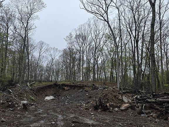 4th image of 1 White Birch Ln