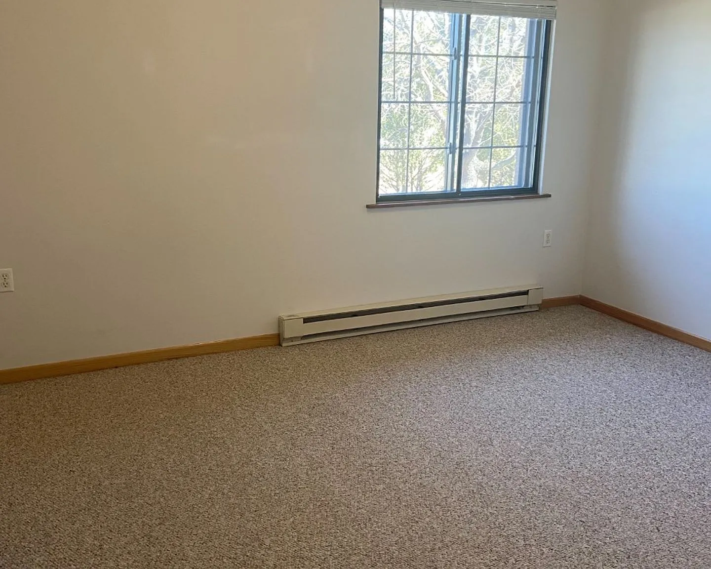 Sunset View Apartments — Photo 2