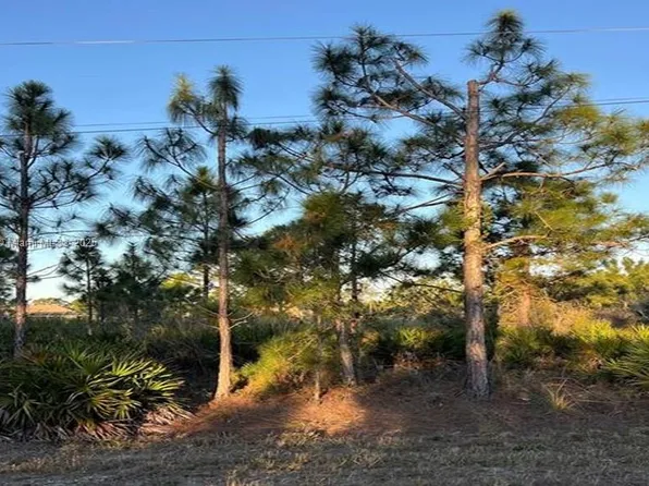 676 Sabina Ct, Lehigh Acres, FL 33972