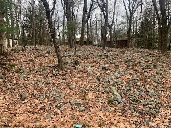 Forest Dr, Lake Harmony, PA 18624