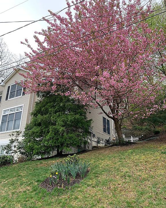 Spring street view