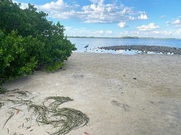 You can fish in the bay two blocks from your home.